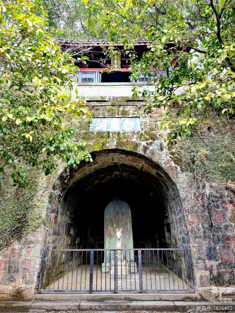 辰巳交辉·家游山河